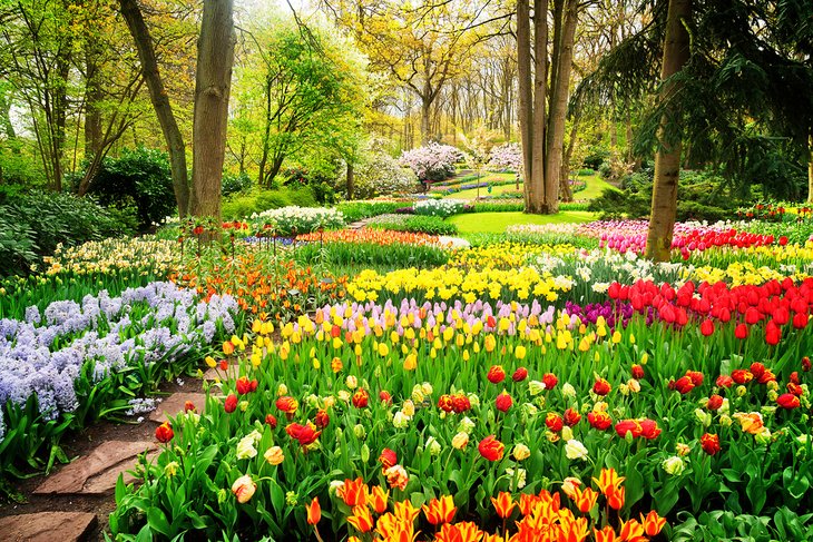 Keukenhof Gardens, Lisse