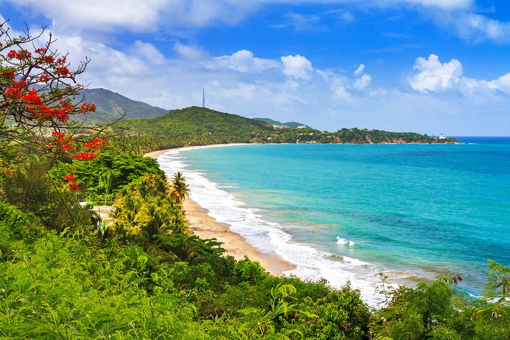 Beautiful beach in Puerto Rico