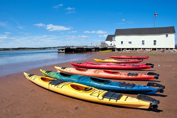 Colorful kayaks on a Prince Edward Island beach