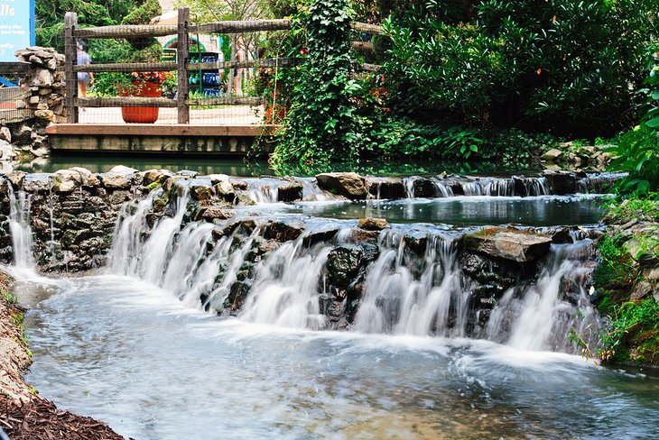 Waterfall at Busch Gardens Virginia