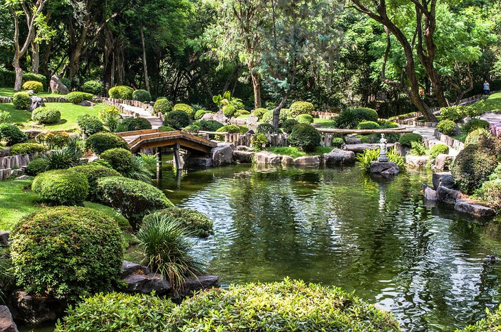 Japanese garden in the Bosque Colomos
