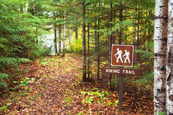 Hiking trail in the Superior National Forest of northern Minnesota