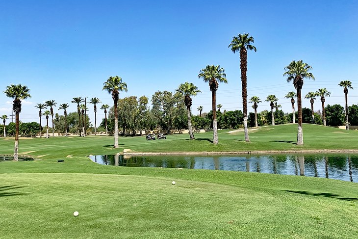 Golf course in Palm Desert