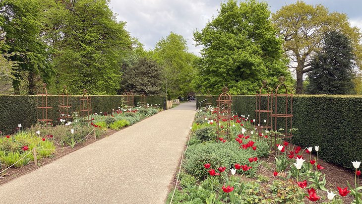 The Rose Garden, Greenwich Royal Park