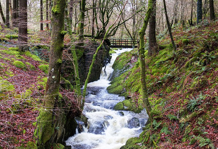 Waterfall at Hafod Uchtryd