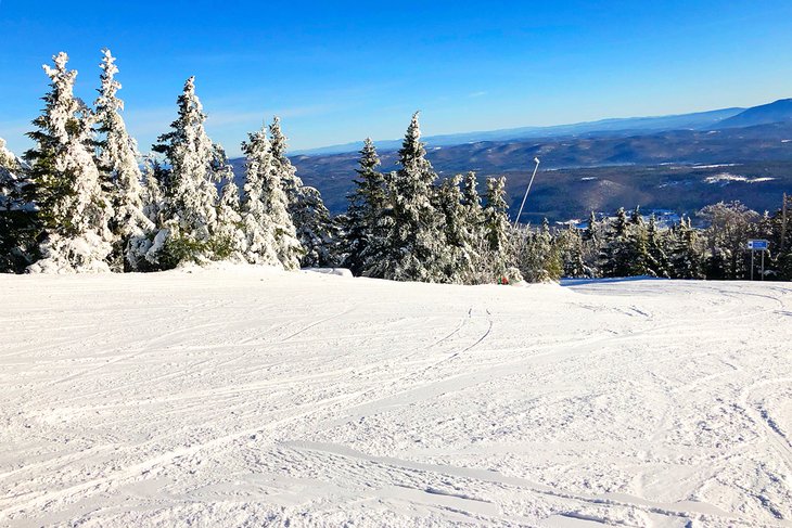 View from the top of Okemo Mountain Resort