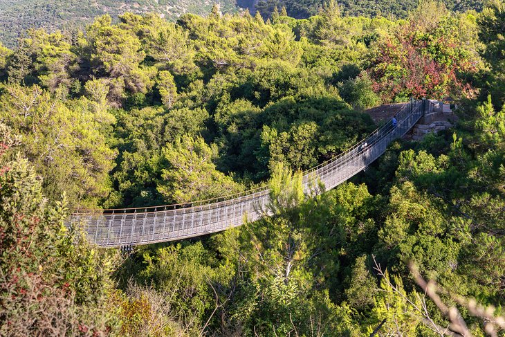 Suspension bridge in Nesher Park