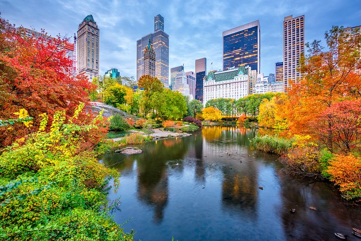 Autumn in New York City's Central Park