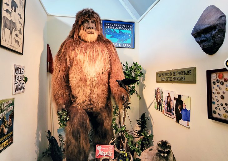 Say "hello" to Bigfoot at the International Cryptozoology Museum