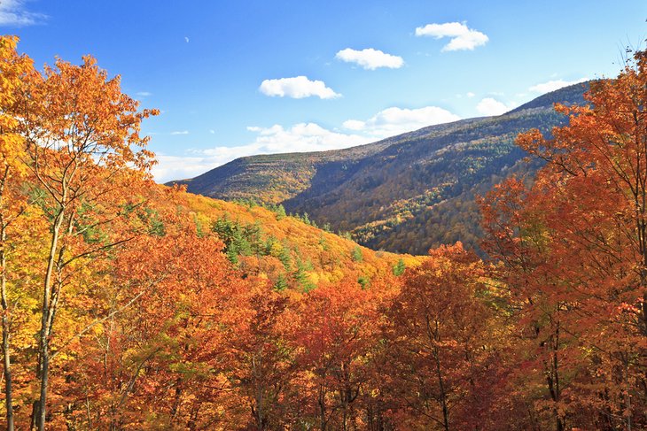 Autumn foliage in Kaaterskill Clove in the Catskills Mountains