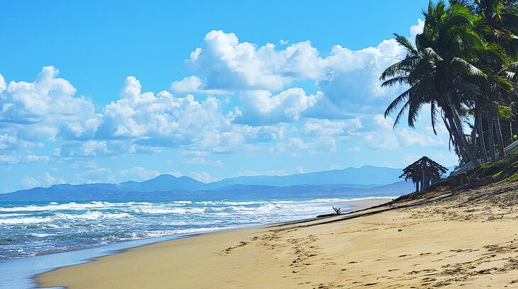 A beach on the Amber Coast