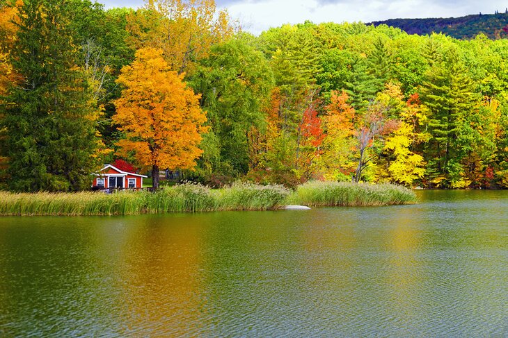 Lakeside cottage in The Berkshires