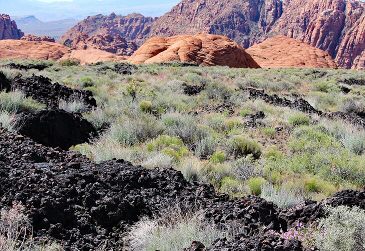 Lava flow in Snow Canyon State Park