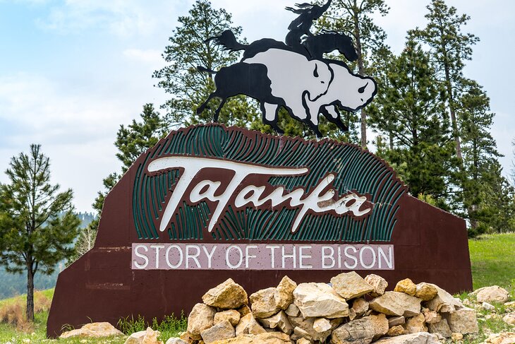 Tatanka: Story of The Bison