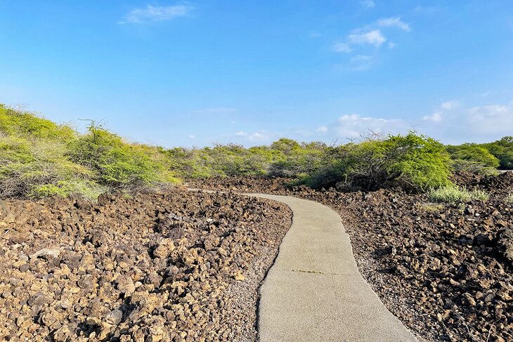 Path through a lava field on the Malama Trail on Hawaii's Big Island