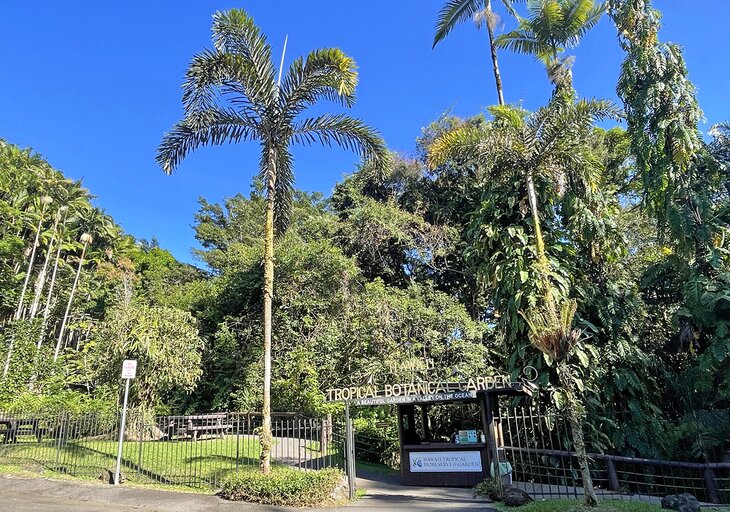 Hawaii Tropical Bioreserve and Garden