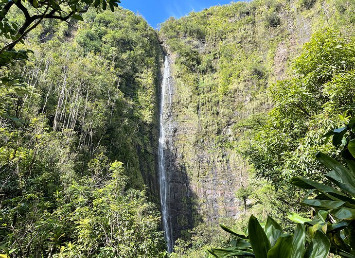 Waimoku Falls on the Pipiwai Trail