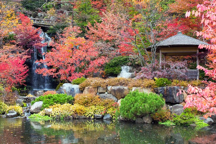 Anderson Japanese Gardens in Rockford, Illinois