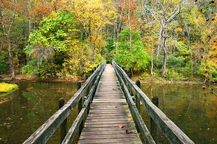 Wooden bridge in John Bryan State Park
