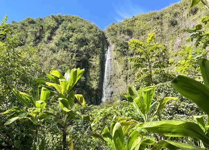 Waimoku Waterfall, Maui