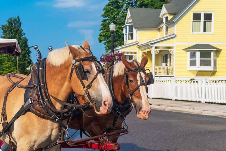 Horses pulling a carriage on Mackinac Island, Michigan