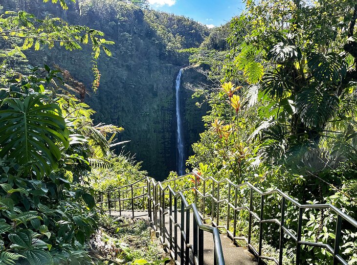 Path to Akaka Falls