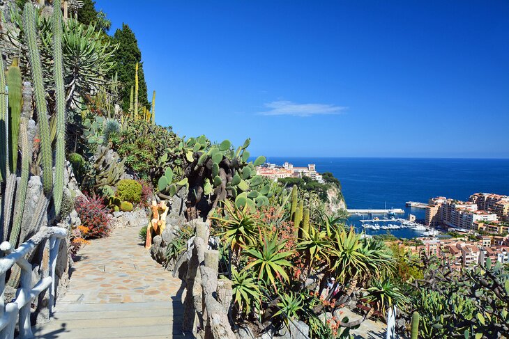 A path at Jardin Exotique de Monaco