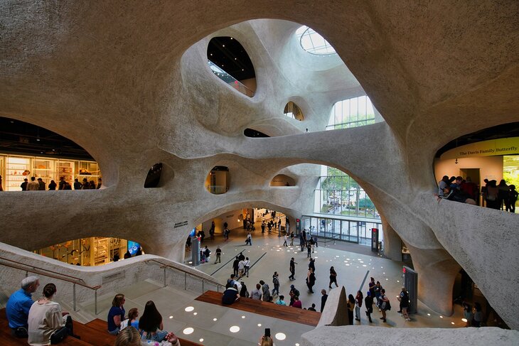 The Richard Gilder Center for Science, Education, and Innovation at the American Museum of Natural History, New York