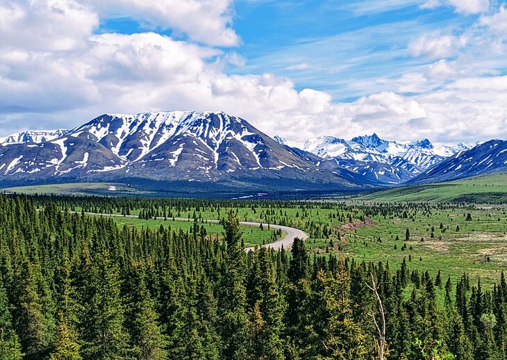 Denali National Park in Alaska