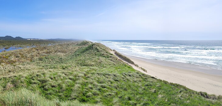 Dunes at the South Jetty of the Siuslaw River