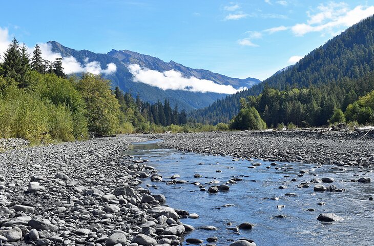 Hoh River on the Hoh River Trail 