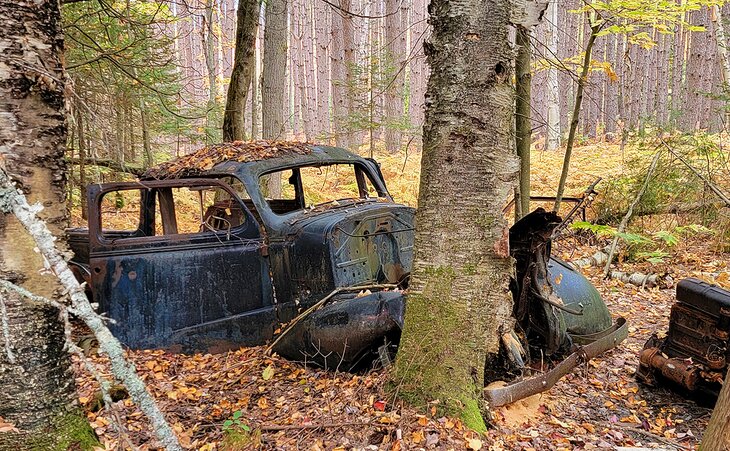 Old car off the Granite Ridge trail in a stand of pines