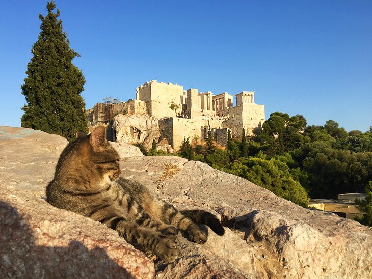 View of Acropolis from Aeropagus