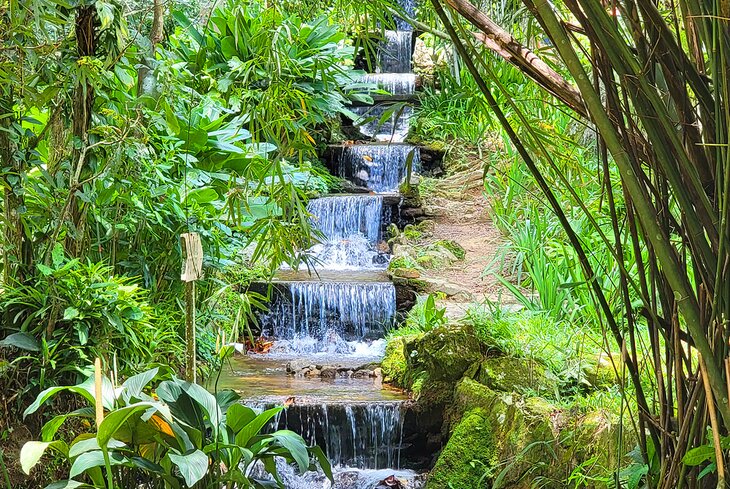A waterfall at the Jardim Botânico