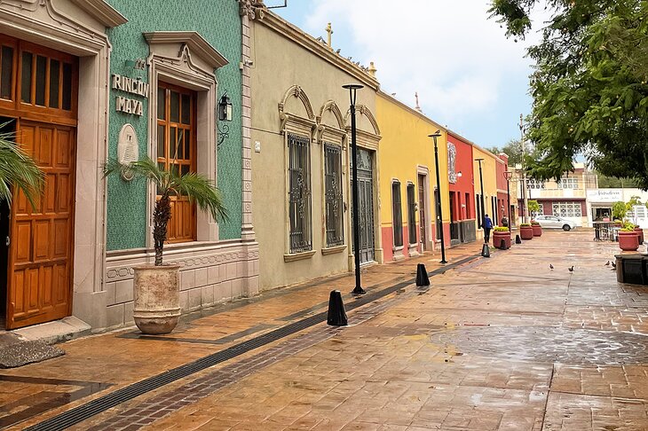 Encino neighborhood of Aguascalientes