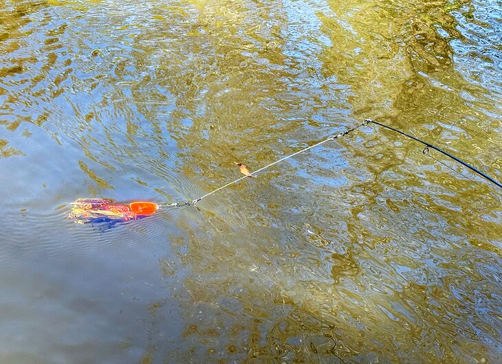 A lure in the water on the French Broad River