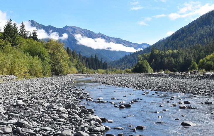View along the Hoh River Trail