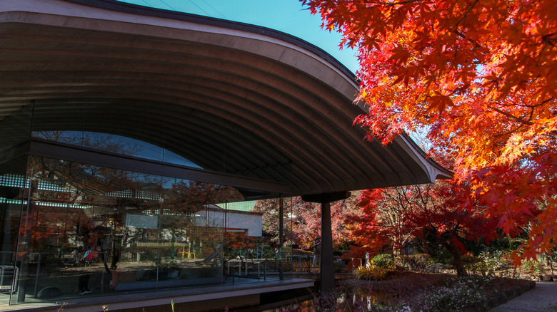 Exterior view of The Tale of Genji Museum in Uji, Japan, with red autumn leaves