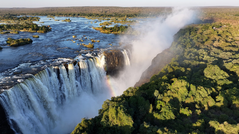 Lush tropical greenery frames a stunning view of Victoria Falls on a sunny day