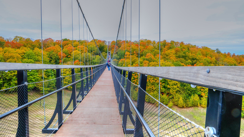 The suspension bridge at Boyne Mountain