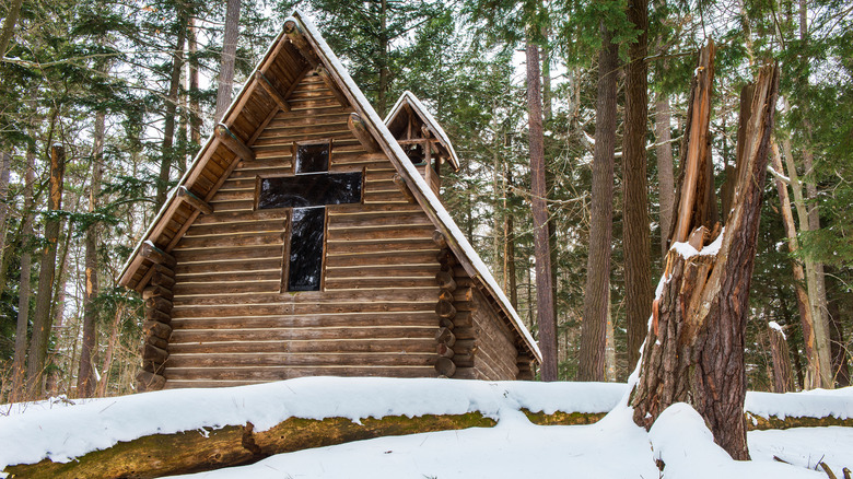 Hartwick Pines State Park in the wintertime