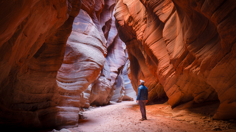 A hiker looks up from within Buckskin Gulch