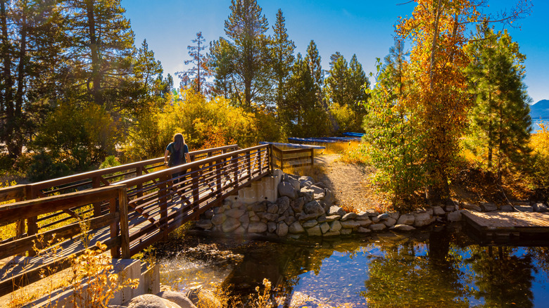 A hiker crosses a steel pedestrian bridge over Burton Creek, Lake Forest Beach, Tahoe City, California