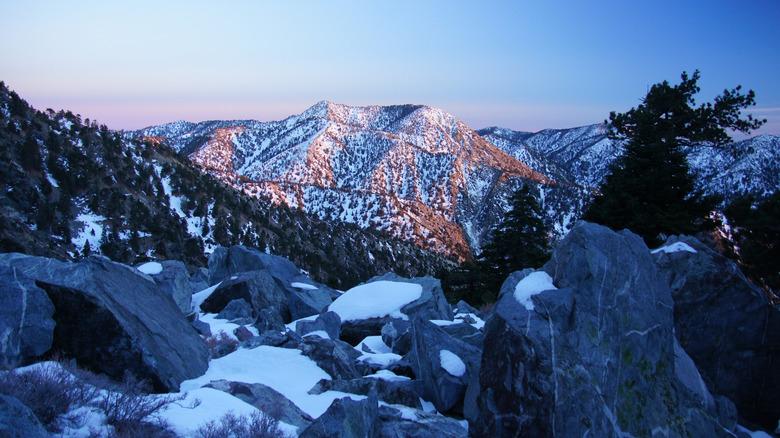 View down the mountain from the rocky summit of Mt. Baldy at sunset with light snow and pine trees