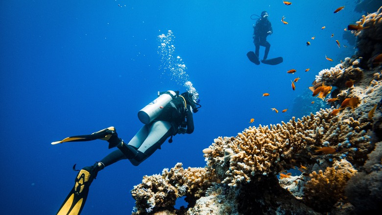Two scuba divers at the Blue Hole in Dahab, Egypt