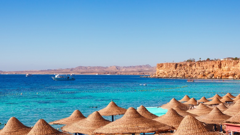 Sunny beach with rattan umbrellas in Sharm el Sheikh, Egypt
