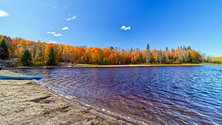 Fall foliage in Arrowhead Provincial Park, Canada