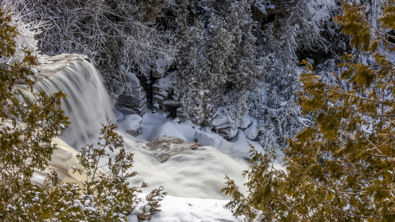 Inglis Falls winter