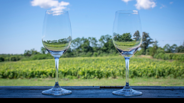 Wine glasses in Prince Edward County