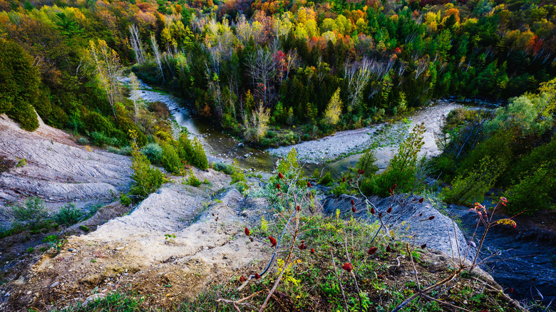 Autumn trees in steep valley in Rouge National Urban Park, Markham